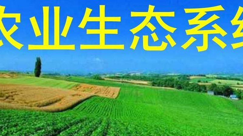 花生深加工设备优缺点