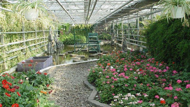 大棚种植成本解析：一亩多少钱的真相**