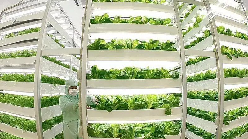 智能灌溉系统：远程控制，农业节水新篇章
