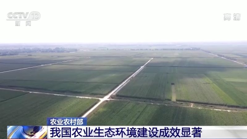 家庭农场土壤改良：科学方法与关键步骤**