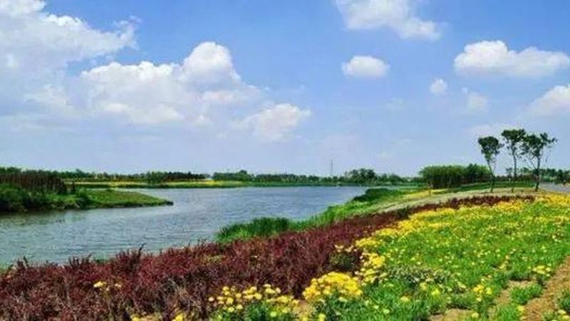 上海生态农业采摘园草莓批发，如何挑选优质草莓？**