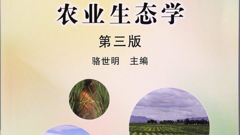 绿色食品批发市场货源：如何选择优质绿色食品