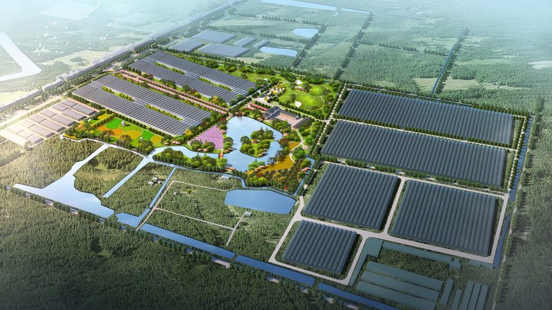 智慧农业园区水肥一体化设计方案：原理与实施要点