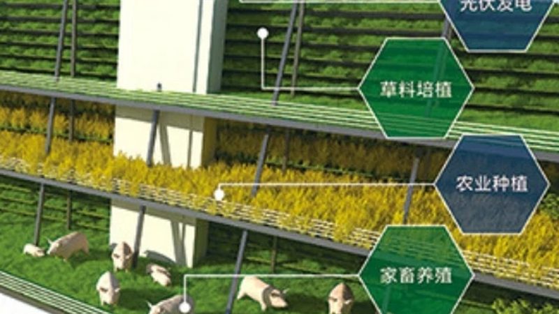 上海果蔬配送公司报价明细：揭秘背后的行业逻辑