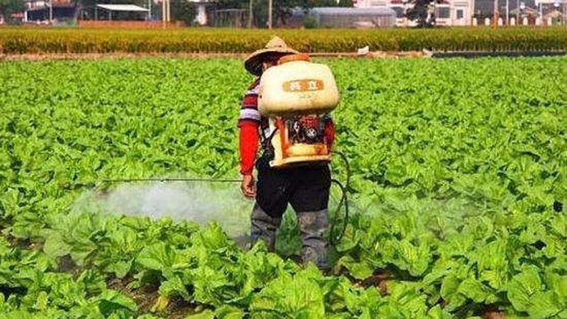 农资批发许可证办理，这些关键点你了解吗？**