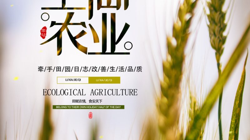 有机肥生产设备：规格型号背后的技术奥秘